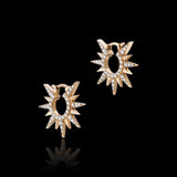 Rays Earrings